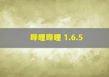 哔哩哔哩 1.6.5